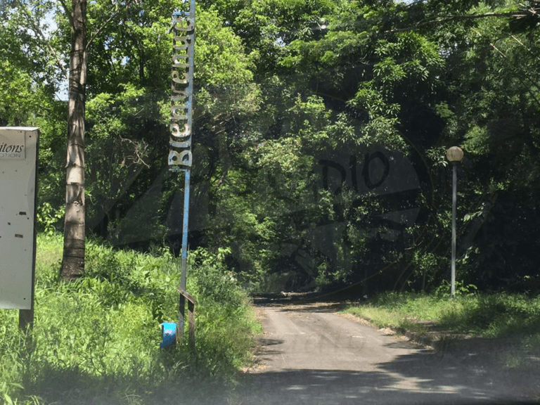 Unraveling the Complexities of the Human Mind and Behavior