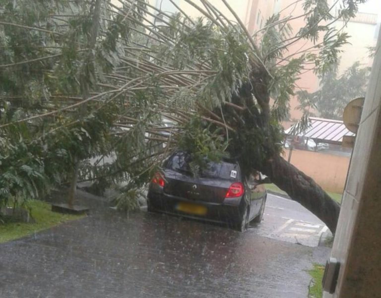 Des rafales de vents de plus de 160 km/h enregistrées au passage de la tempête tropicale en Martinique