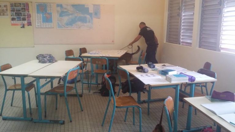 Lutte contre les stupéfiants au collège Eda Pierre du Morne-Rouge