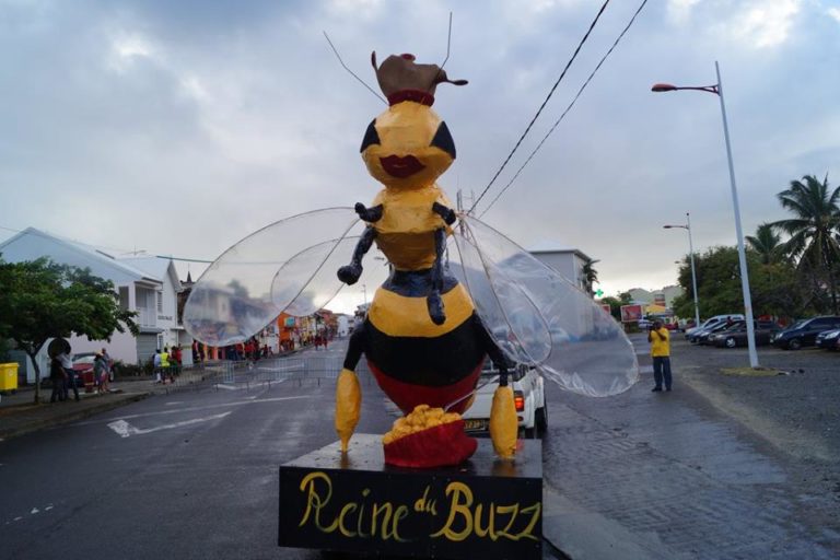 Et pendant ce temps, le Vaval du François représentait « le Miel Pops la reine du buzz »