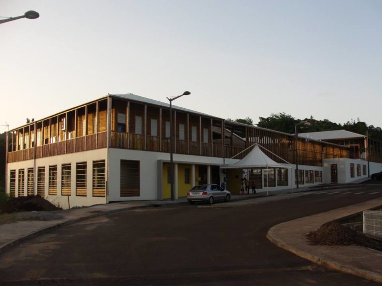 Invasion d&rsquo;abeilles à l&rsquo;école maternelle de Moulin à Vent au Robert