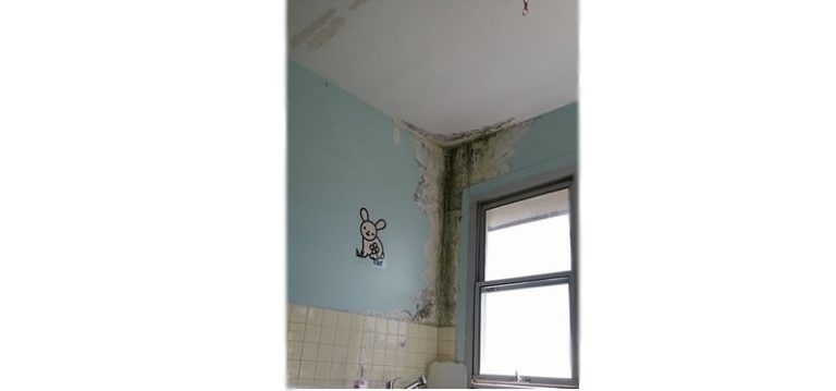 De la moisissure sur des murs dans une chambre du service de pédiatrie à l&rsquo;hôpital de Trinité