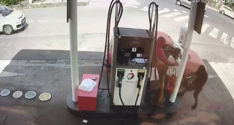Deux individus braquent une pompiste dans une station-service au François