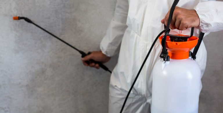 Madagascar : l&rsquo;épidémie de peste continue de se propager et fait au moins 74 morts