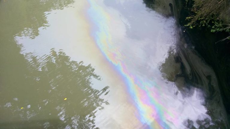 Le Canal Levassor à Fort-de-France pollué par de l&rsquo;huile de moteur
