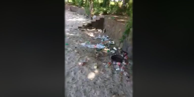 Quand les cochons salissent la plage de la Pointe du Bout aux Trois-Ilets
