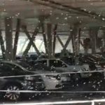 Invasion d'abeilles dans un parking du centre commercial La Galleria