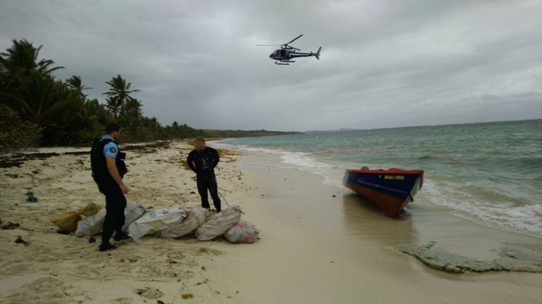 230kg d&rsquo;herbe de cannabis enterrés sur une plage au Cap Macré au Marin saisis