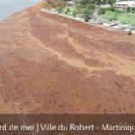 Algues Sargasses : vue aérienne impressionnante des quartiers du Robert