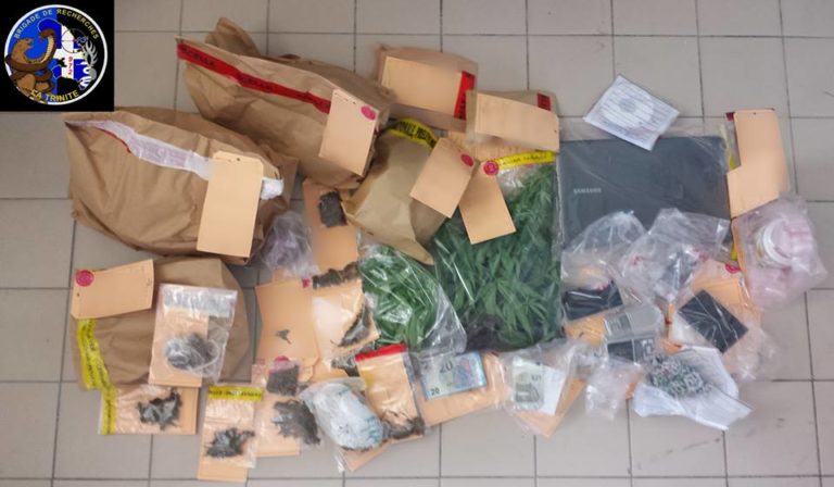 Trafic de stupéfiants : 7 personnes interpellées