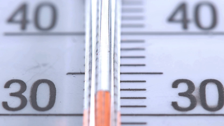 Des pluies en dessous des quantités normales avec des températures plus chaudes en janvier 2021