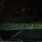 La Martinique particulièrement arrosée la nuit dernière. Conséquence, un arbre couché sur la chaussé à Schoelcher
