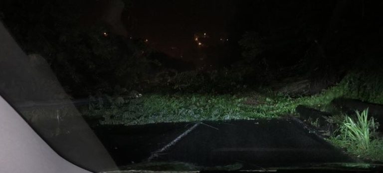 La Martinique particulièrement arrosée la nuit dernière. Conséquence, un arbre couché sur la chaussé à Schoelcher