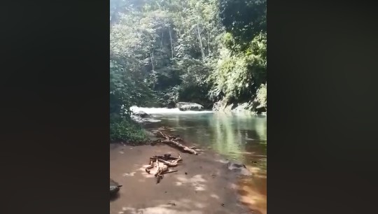 En rivière aux Antilles : restez toujours sur vos gardes, la preuve en vidéo