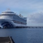 Le tout premier bateau de croisière de la saison a fait escale à Fort-de-France