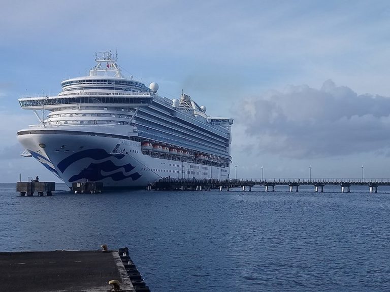 Le tout premier bateau de croisière de la saison a fait escale à Fort-de-France