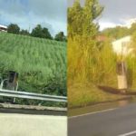Les radars de Lestrade au Robert et de Sainte-Luce incendiés