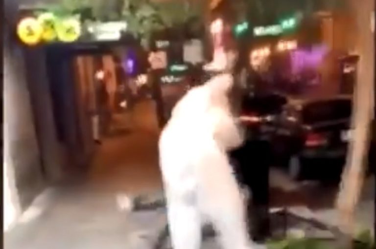 Floride : un homme déguisé en lapin de Pâques vient en aide à une femme lors d&rsquo;une bagarre (VIDÉO)
