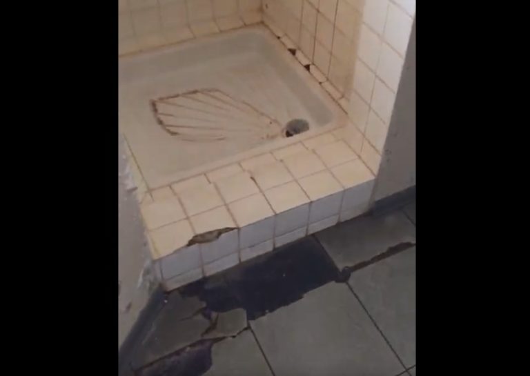 (VIDÉO) L&rsquo;insalubrité d&rsquo;une chambre d&rsquo;hôpital à la Meynard dénoncée sur les réseaux sociaux