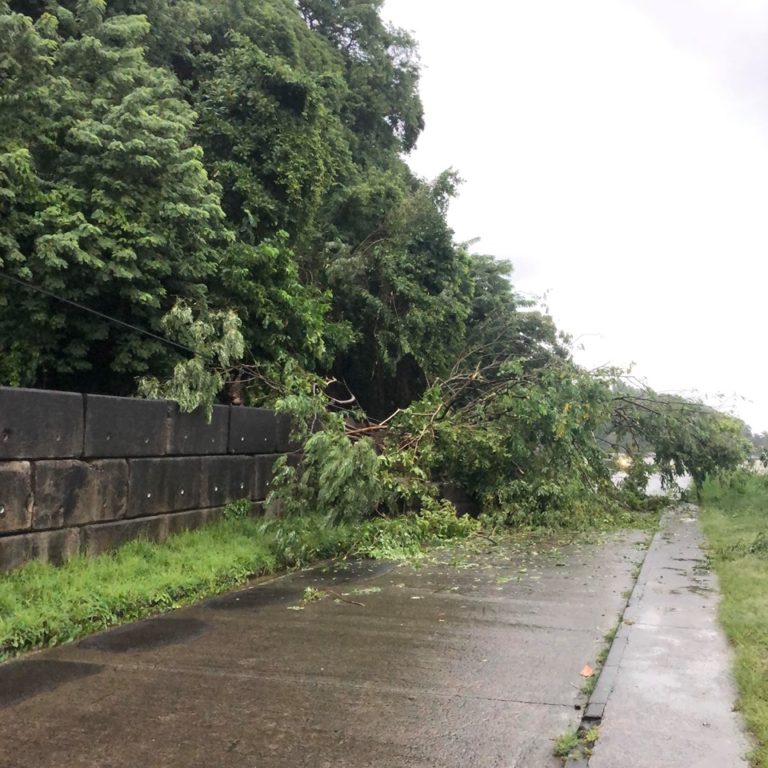 Un éboulement au quartier La Crique à Trinité bloque totalement la route. Une déviation a été mise en place
