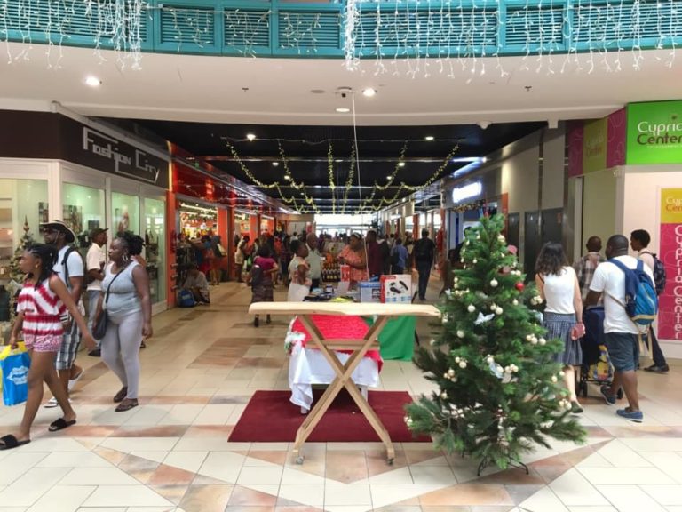 Chefs d&rsquo;entreprises artisanales participez au « Village de Noël » au centre commercial Perrinon