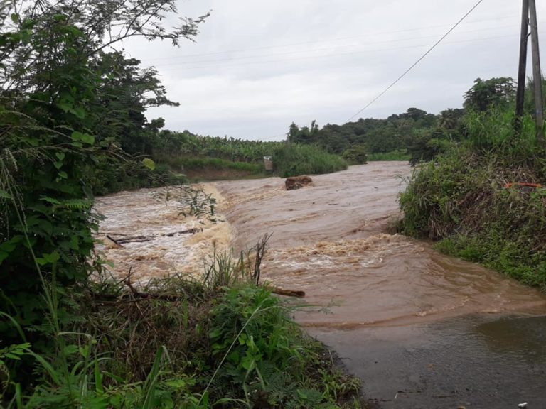 La Lézarde à Presqu&rsquo;île à Saint-Joseph en crue (VIDÉO)