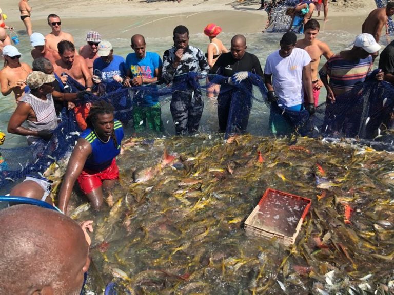 Plusieurs kilos de poissons pêchés à Sainte-Anne en Martinique (VIDÉO)