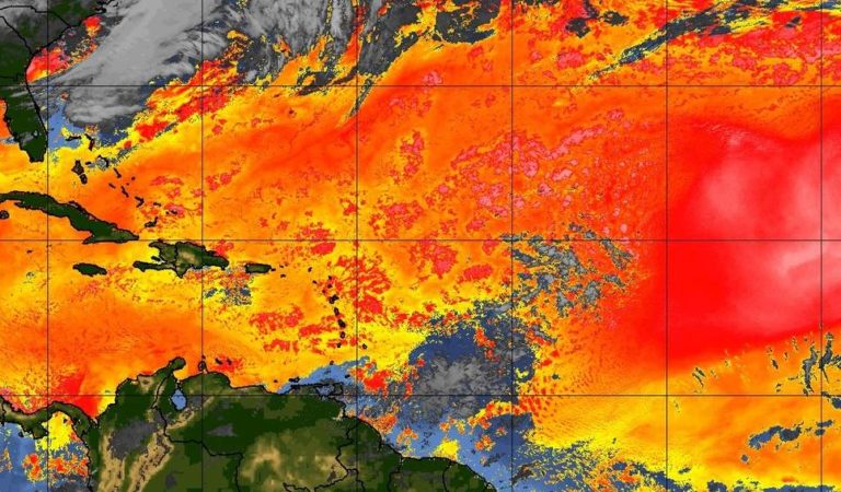 Un nouvel épisode important de brume de sable en approche