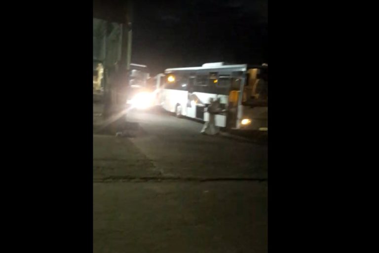 Costa Magica & Favolosa : les bus affrétés pour les passagers désinfectés (VIDÉOS)