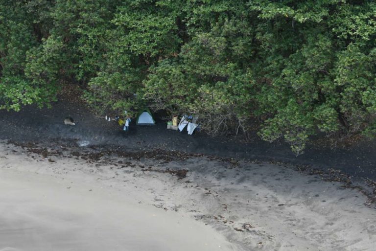 Bilan du week-end Pascal : 355 verbalisations dressées par les gendarmes pour non-respect des règles du confinement