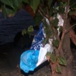 Déchets sur une plage au Carbet