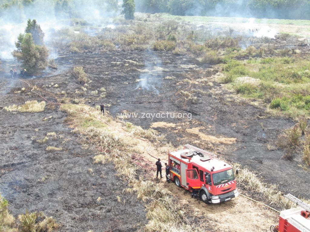 feu de broussailles à Ducos Génipa