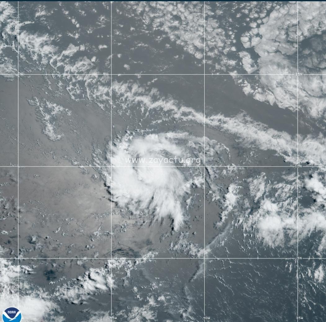 Tempête tropicale Gonzalo