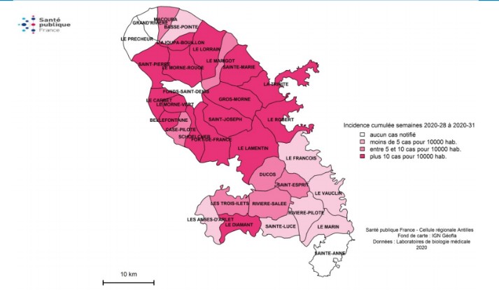 Communes de la Martinique touchées par le virus de la dengue.