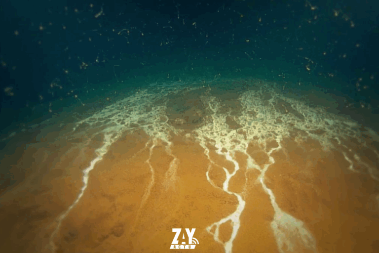 Le volcan sous-marin Kick’em Jenny montre une recrudescence d’activité