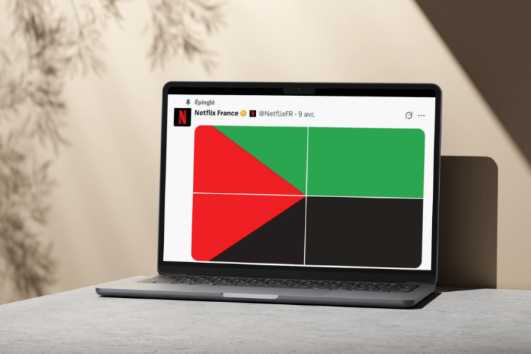 Netflix : le drapeau de la Martinique confondu avec celui de la Palestine, polémique autour de la promo de BANDI