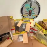 Saisie de stupéfiants et d’une arme en Martinique, quatre individus interpellés après un débarquement à Sainte-Luce