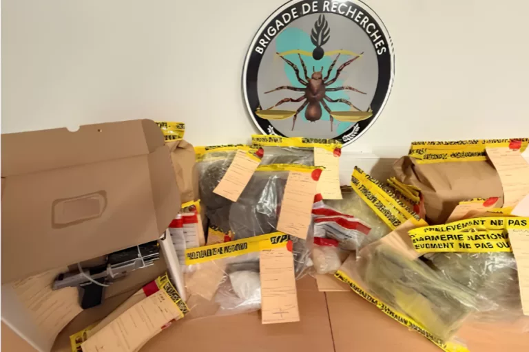 Saisie de stupéfiants et d’une arme en Martinique, quatre individus interpellés après un débarquement à Sainte-Luce