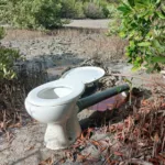 Sainte-Anne : l’Assaupamar dénonce l’installation d’un WC en pleine mangrove sur un site protégé aux Salines