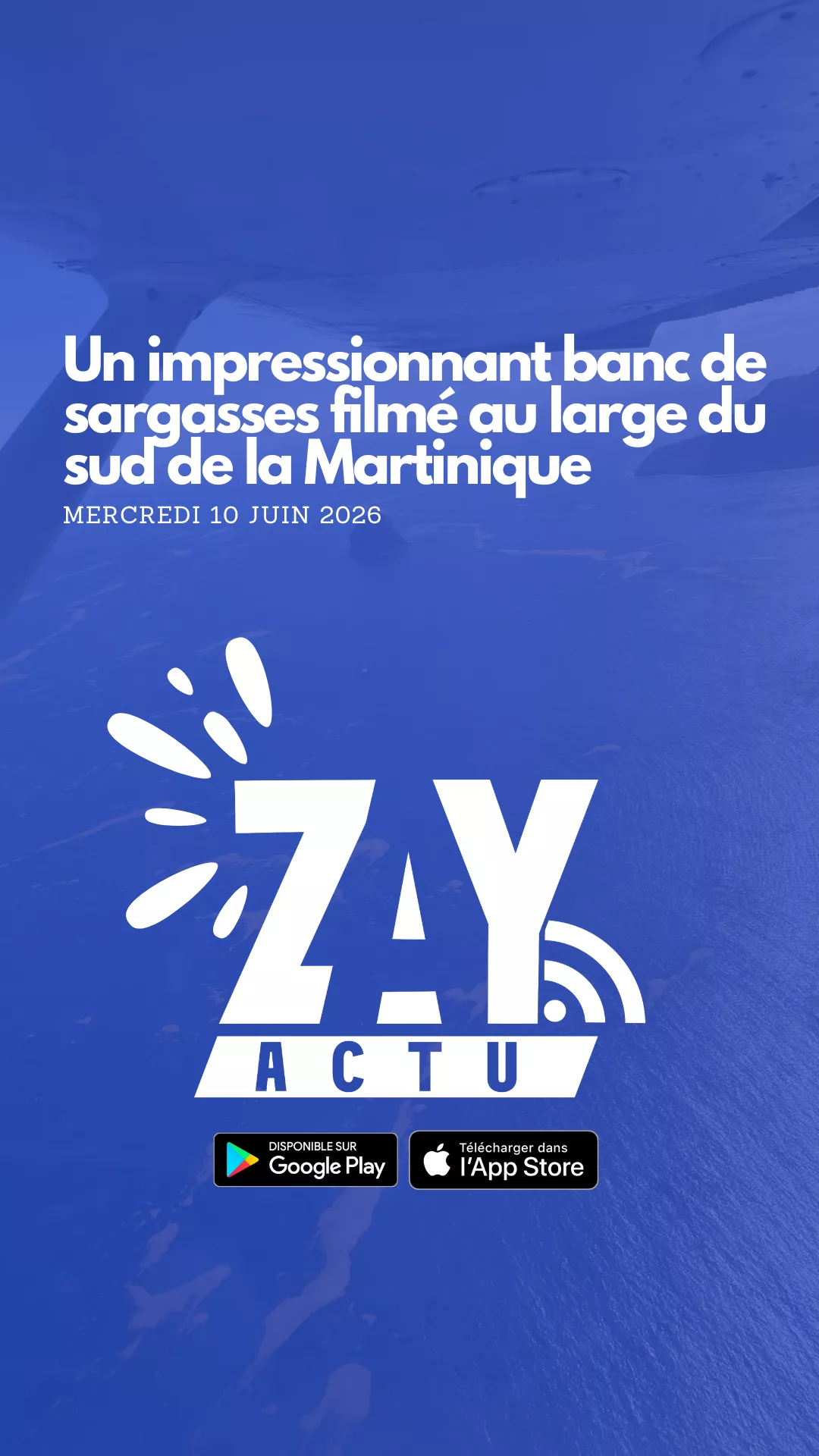 Un impressionnant banc de sargasses filmé au large du sud de la Martinique