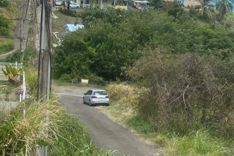 Pris en flagrant délit de cambriolage au Robert en plein jour, leur fuite filmée fait le tour des réseaux sociaux