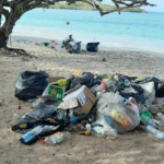Déchets l'Anse Moustique