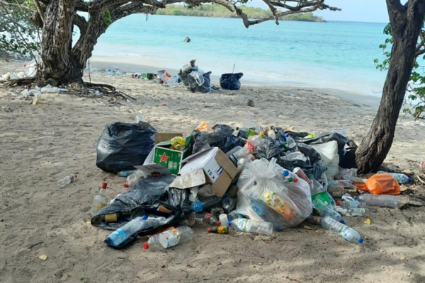 Anse Meunier : près de 30 m³ de déchets ramassés après les after-yoles