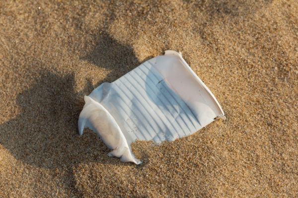 Après l’after yoles, la plage de l’Anse Meunier (Anse Moustique) retrouvée couverte de déchets à Sainte-Anne