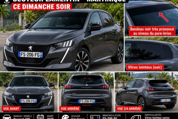 Cinq individus lourdement armés braquent un automobiliste à Carrère et repartent avec sa Peugeot 208