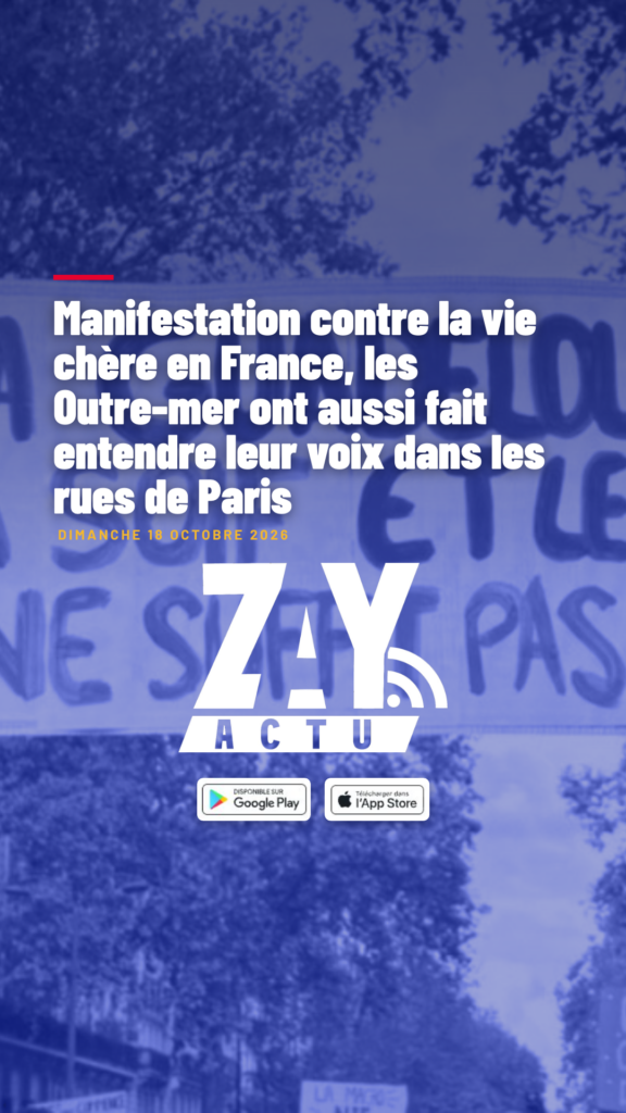 Manifestation contre la vie chère en France, les Outre-mer ont aussi fait entendre leur voix dans les rues de Paris