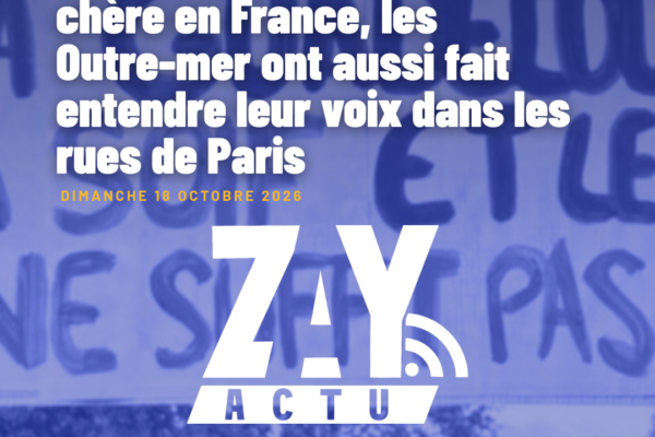 Manifestation contre la vie chère en France, les Outre-mer ont aussi fait entendre leur voix dans les rues de Paris